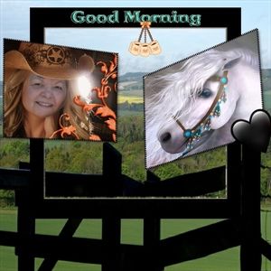 Meet your Posher, Jonnie